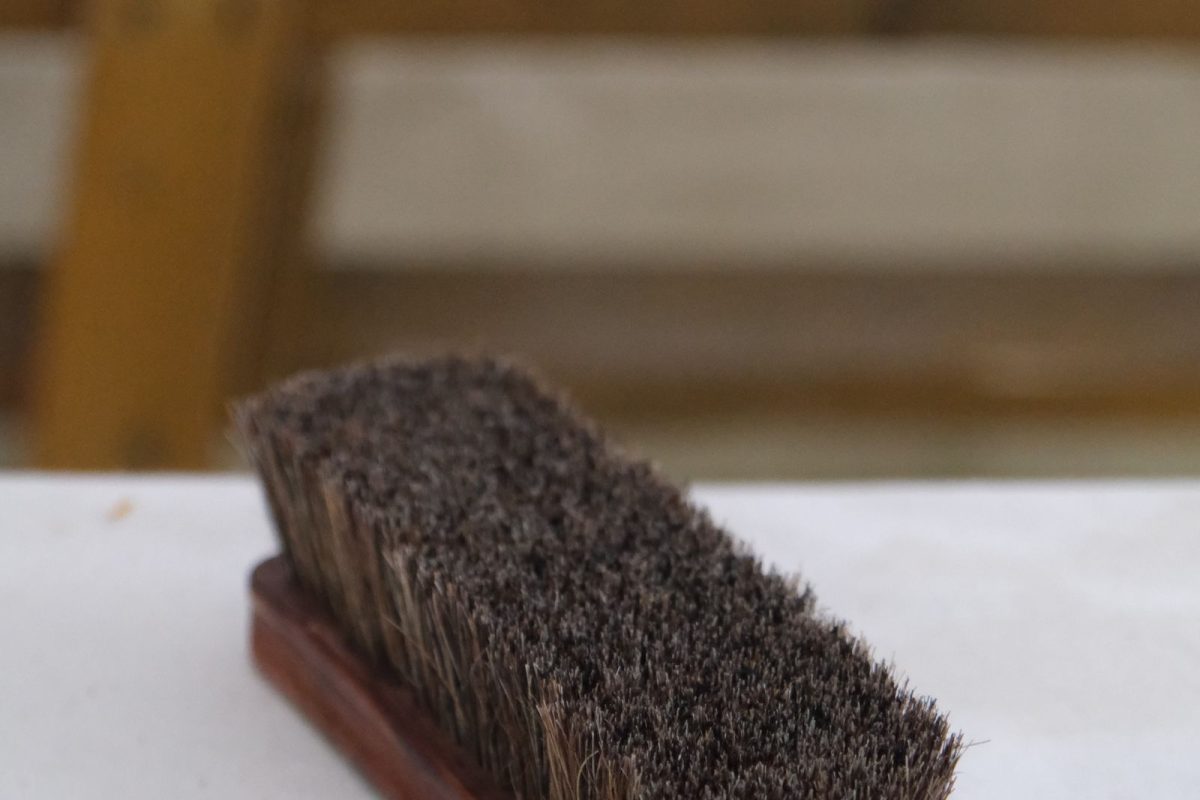 Horsehair polishing brush