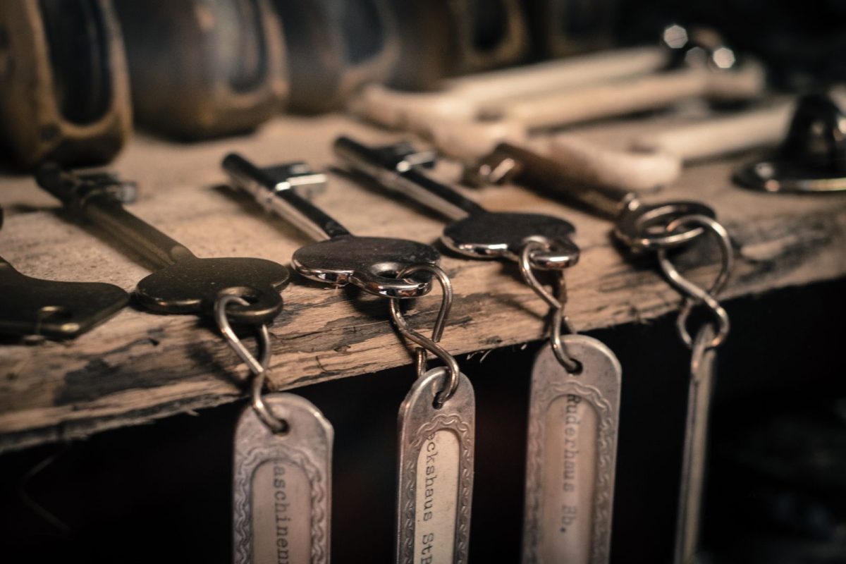 Leather keyring